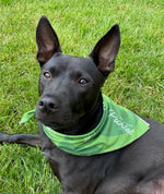 Portland Pickles Green Bandana